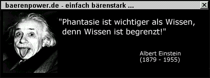  baerenpower.de - einfach b&auml;renstark! 